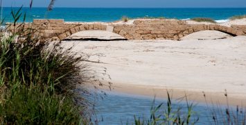 'גשר הקיסר וילהלם' בשפך נחל תנינים (צילום: מוטי בן ארי, יד בן־צבי)