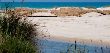 'גשר הקיסר וילהלם' בשפך נחל תנינים (צילום: מוטי בן ארי, יד בן־צבי)