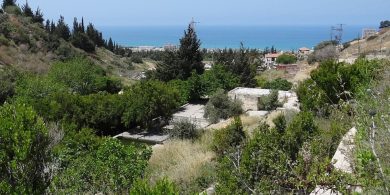 נחל שיח. צילום: Hanay ויקיפדיה.