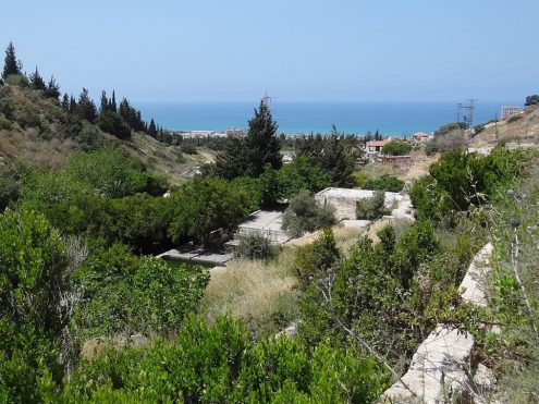 נחל שיח. צילום: Hanay ויקיפדיה.