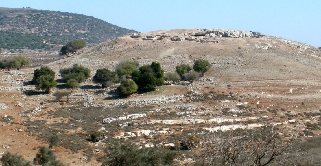 ידפת, צילום- אורן רוזן