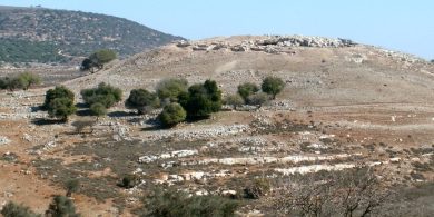 ידפת, צילום- אורן רוזן