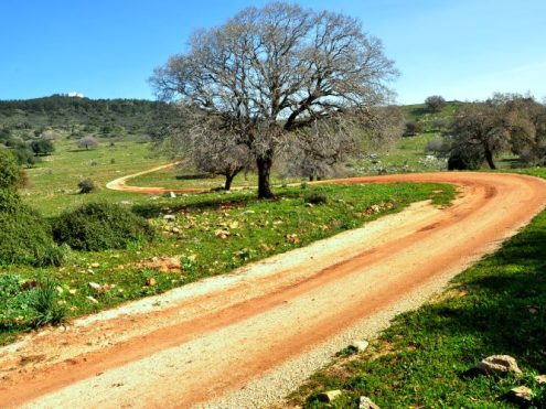שביל נוף הכרמל, ויקיפדיה