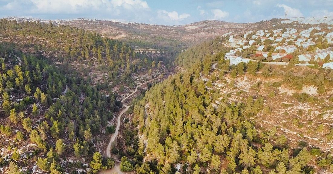 נחל כסלון. חגי אגמון-שניר ויקיפדיה