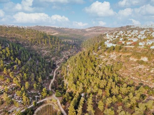 נחל כסלון. חגי אגמון-שניר ויקיפדיה