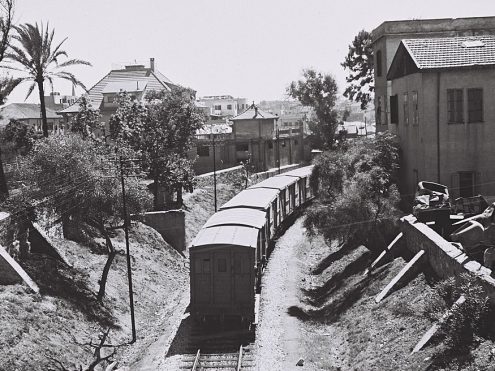 זולטן קלוגר 1946