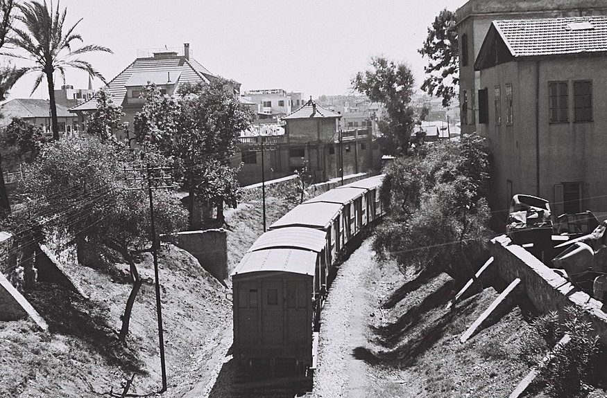 זולטן קלוגר 1946