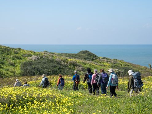 צילום נטע אביטל
