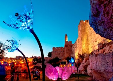 יצירות של דייל צ'יהולי לרגלי מגדל דוד