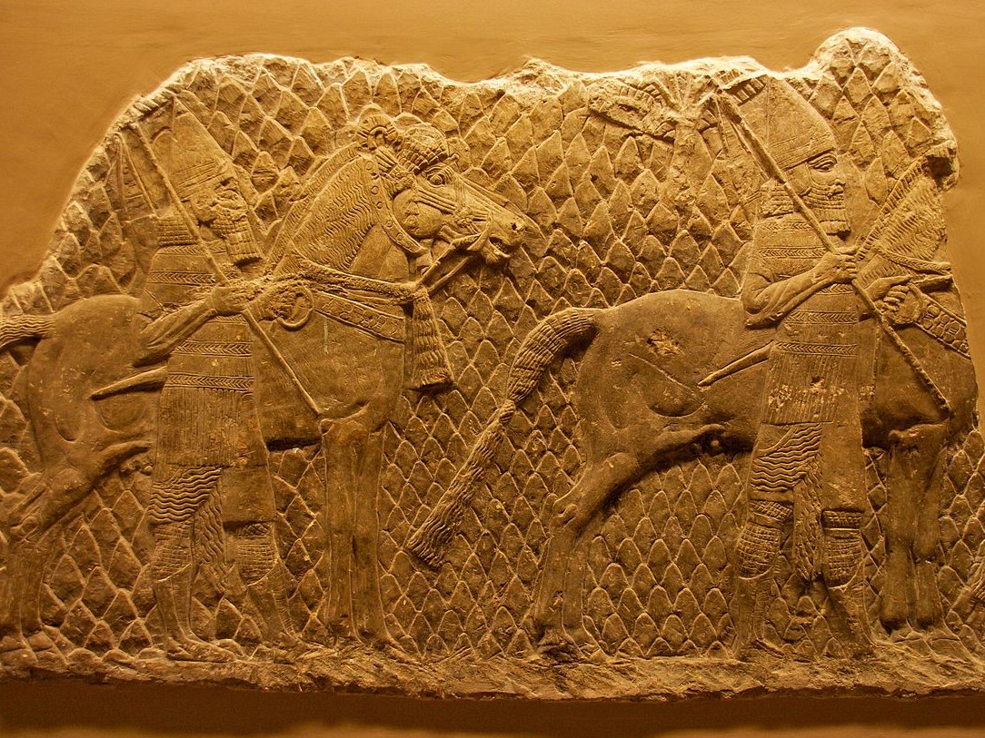 עליית אשור. מצור לכיש. צילום: Mike Peel ויקיפדיה