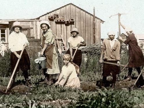 חלוצות במשק הפועלות